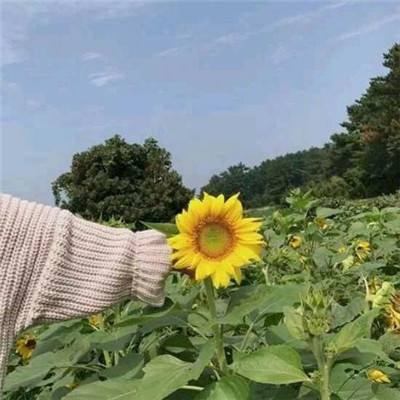 不朽凡人手游vivo版下载
